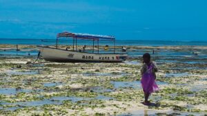 africká holčička bosa zkoumá dno oceánu a odstavenou rybářskou loď po velkém odlivu v Nungwi