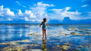 malá holčička s údivem zkoumá dno oceánu při velkém odlivu na Zanzibaru