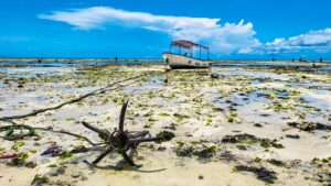 lodní kotva, vyschlé oceánské dno a loďka při odlivu na Zanzibaru