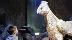 chlapec se dívá na hypogryfa Griffina z Harryho Pottera