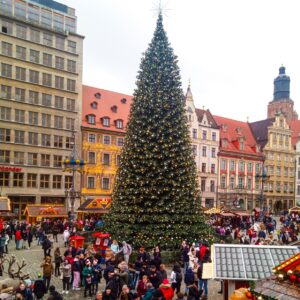 ozdobený vánoční strom na hlavním náměstí Rynek ve Wroclawi