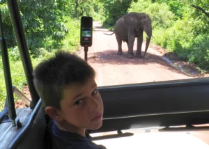 malých chlapec s 360 kamerou natáčí divokého slona na safari v Tanzánii