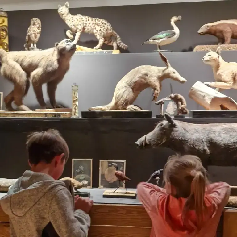 Děti v Náprstkově muzeu v Praze sledují expozice světových kultur.