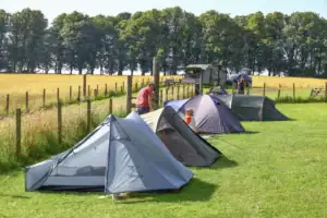 Stany na kempu během přechodu West Highland Way ve Skotsku